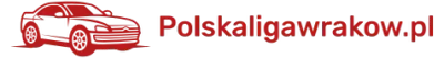 Logo polskaligawrakow.pl
